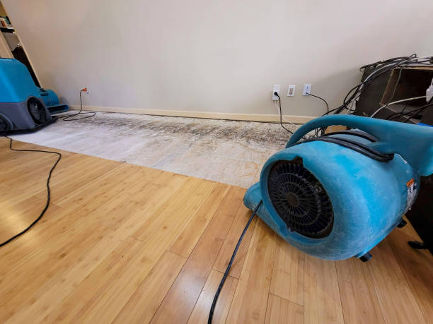 Reliable Basement Flood Cleanup contractor in Morrisonville, IL by Hirex Water Damage