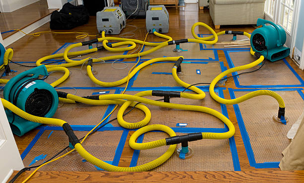 Professional Basement Flood Cleanup technician working in Morrisonville, IL